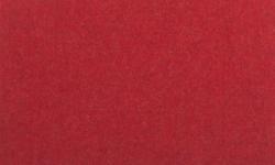 Изображение продукта Steiner Cork red