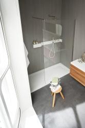 Rexa Design Ergo-nomic Shower tray and enclosure - 1