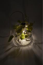 dua Vase & Leuchte - 2